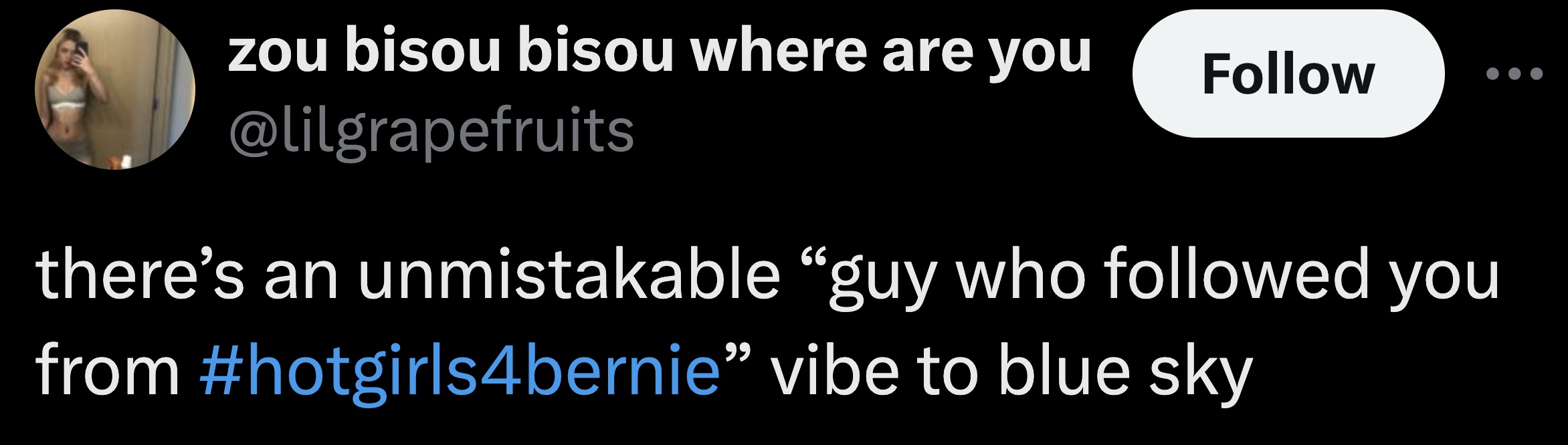 conch - zou bisou bisou where are you there's an unmistakable "guy who ed you from " vibe to blue sky